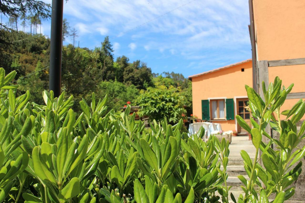 Affittacamere Angela Levanto Exterior photo